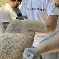 Der Schnabel des Tukan tritt immer mehr hervor. Der Schnabel des Tukan tritt immer mehr hervor.