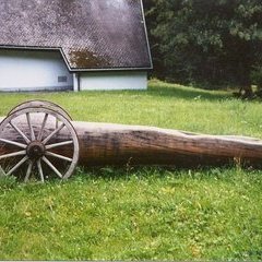 In der Ruhe liegt die Kraft&comma; Eiche