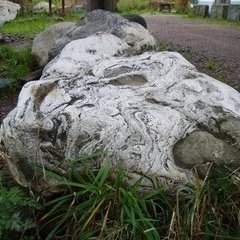 Der unbearbeitete Gneisfindling für das Wasserobjekt