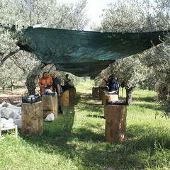 Der Arbeitsplatz im Olivenhain des View Point Hotels in Patara.