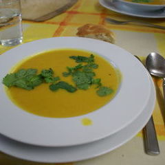 Samstag Mittag: Vorspeise Indische Möhrensuppe nit frischem Koriander