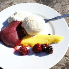 Samstag Mittag: Dessert Vanilleeis, Waldbeersorbet, Mango und Beeren