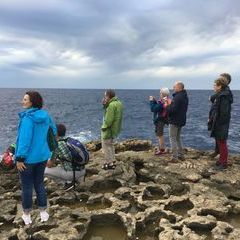 Suche nach dem verschollenen AZURE WINDOW in Dweijra. Leider fuhren keine Böötchen :-(