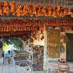 Impressionen der Masseria bei Tag - Wintertomaten und anderes Gemüse zum Trocknen.