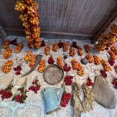 Impressionen der Masseria bei Tag - Wintertomaten und anderes Gemüse zum Trocknen.