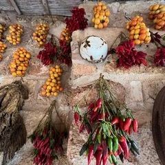 Impressionen der Masseria bei Tag - Wintertomaten und anderes Gemüse zum Trocknen.