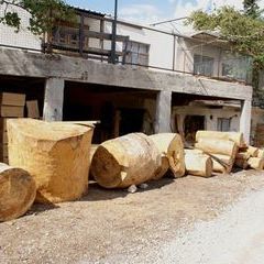 Dieser Schreiner fertigte schließlich die Holzstämme auf Maß für die Arbeitsplätze