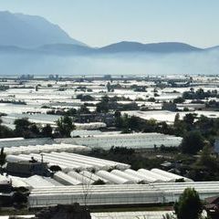 "Investiert in Gewächshäuser. Das ist die Zukunft" (Greenhouses in Yesilköy)