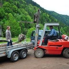 Ausladen der Steine am Maierhof