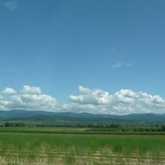 Entspannte Fahrt von Colmar zurück in den Schwarzwald